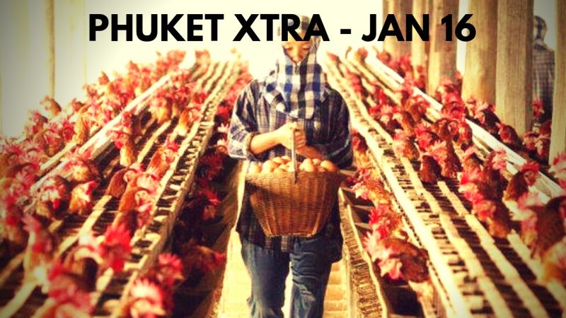 PHUKET XTRA: VIDEO: Tourist survives Patong Beach! An ’anti-peace’ chief? Problems with digital licence? || Jan. 16
