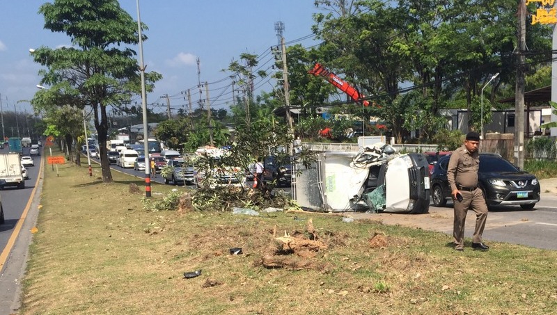 Ice truck driver fined B400 for sideswipe, tree-felling wipeout
