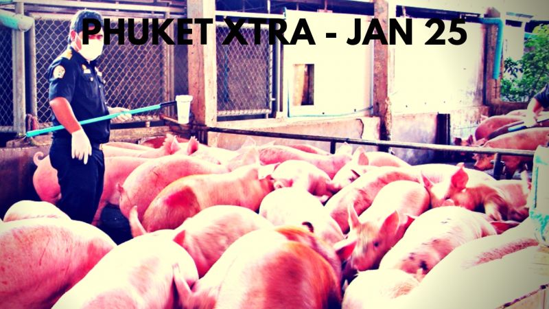PHUKET XTRA: VIDEO: Preventing African Swine Flu? Another Southern bombing? Fighting forced evictions! || Jan. 25