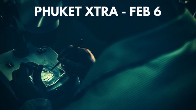 PHUKET XTRA: VIDEO:  New lifeforms discovered! ’Drunk’ cop shoots man? ’Dramatically low’ Phuket water? || Feb. 6