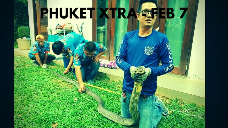 PHUKET XTRA: VIDEO: Royal rainmakers summoned! Killer fire extinguisher? Huge king cobra caught! || Feb. 7