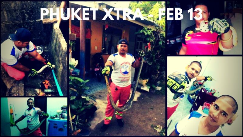 PHUKET XTRA: VIDEO: ’Magic mud’ actually unsafe! Snake-catchers busy? Toto the roaming stray is ready! || Feb. 13