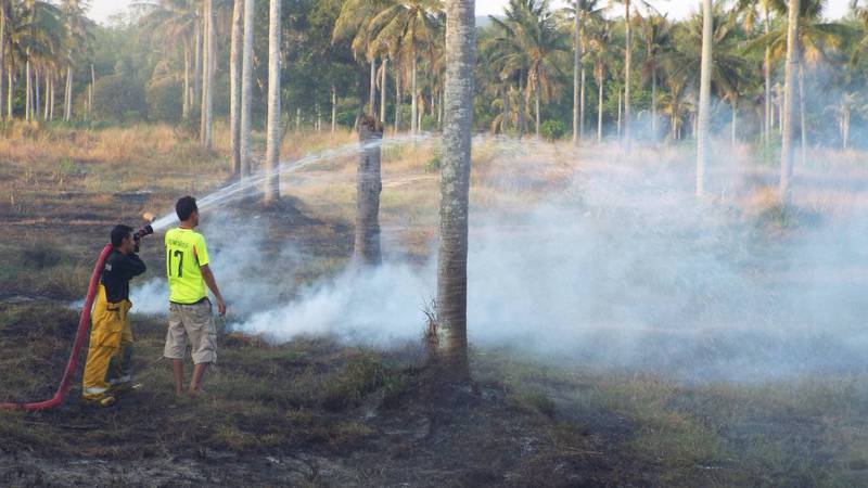 Disaster officials issue fire warning as small wildfires break out