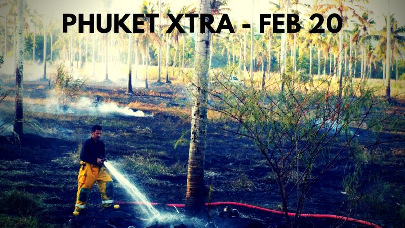 PHUKET XTRA: VIDEO: Elephant goes wild! Phuket wildfire! Bounded body found? || Feb. 20