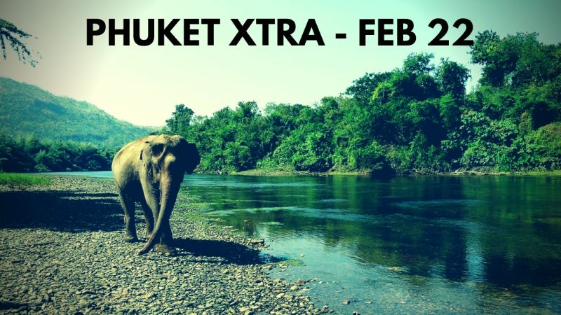 PHUKET XTRA: VIDEO: Elephant  knocks over raft? Drought preparations! Patong Police get busy! || Feb. 22