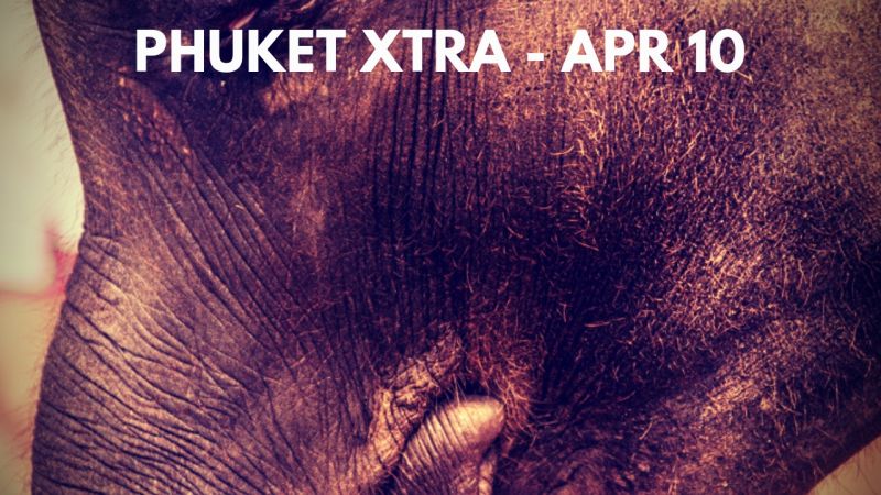 PHUKET XTRA: VIDEO: Baby elephant abused? Cop blacklisted, pending probe! Sacred water! || April 10