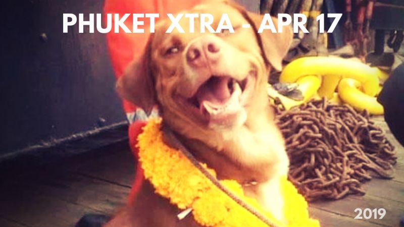 PHUKET XTRA: VIDEO: Fatal zipline fall! B60Mn up in Patong smoke? Doggie paddling miracle! || April 17