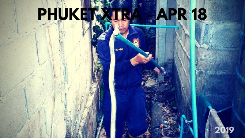 PHUKET XTRA: VIDEO: Cobra eggs missing! Arrest in Phi Phi rape case! Worst Songkran road record? || April 18