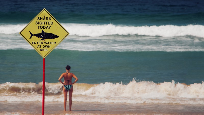 Risk and Markets