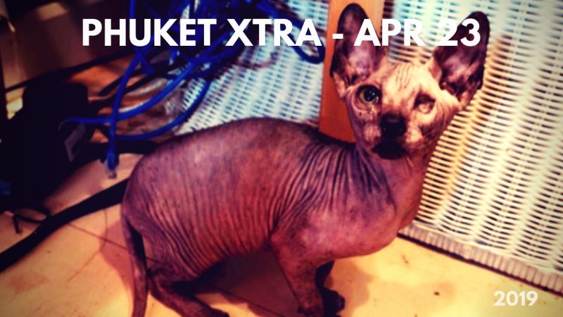 PHUKET XTRA: VIDEO: Mother pimps out 5-year-old! Extracting oil from marijuana? Abuse in cat cafe? || April 23