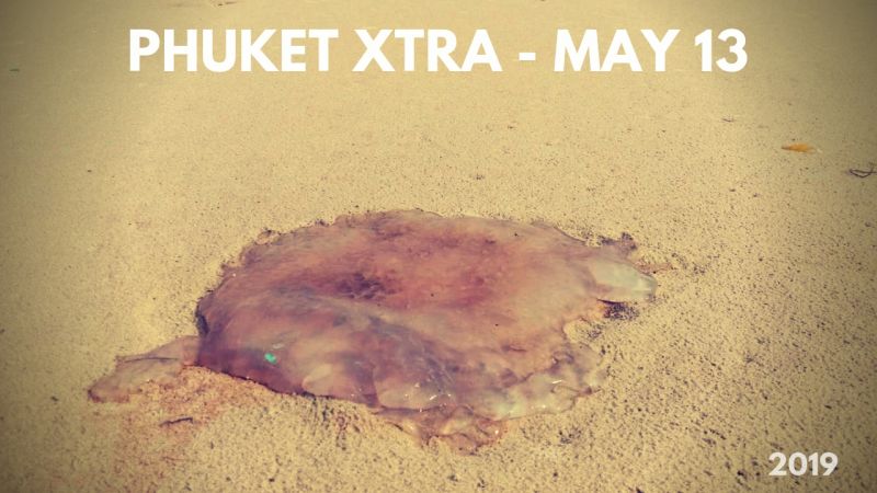PHUKET XTRA: VIDEO: Durian mountain? Chalong Hospital delayed! Jellyfish warning? || May 13