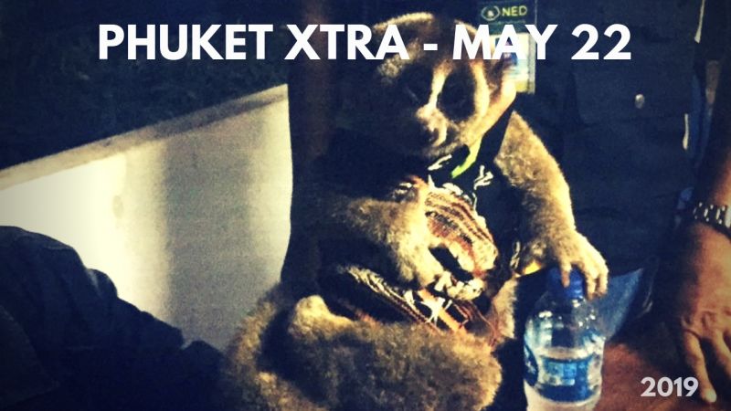 PHUKET XTRA: VIDEO: Slow loris rescued! Head-on collision! Roommates: soldiers, villagers? || May 22