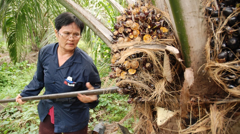 Government urged to mull host of wage hike factors