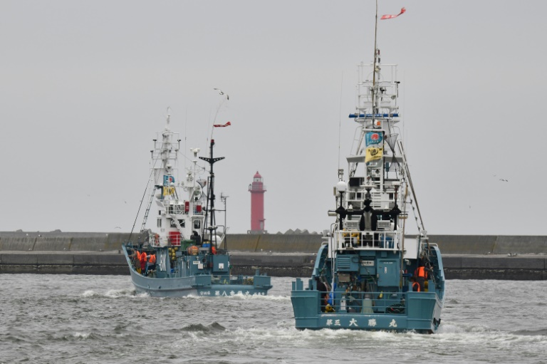Japan resumes commercial whaling for first time in 30 years