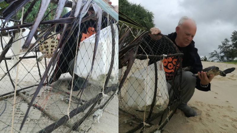 Soi Dog’s John Dalley frees sea turtle from fish trap on Laypang Beach