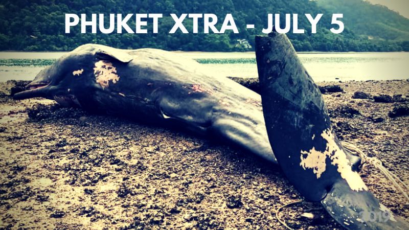PHUKET XTRA: VIDEO:  Whale’s jaw hacked off! Baby dugong naming contest! Scrambling for lifeguards? || July 5