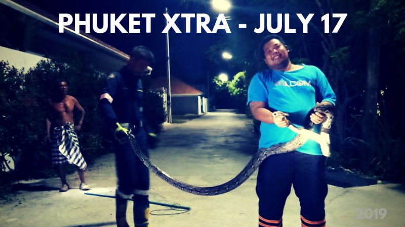 PHUKET XTRA: VIDEO: Python caught feasting! Dog beaten? 5 more international airports? || July 17