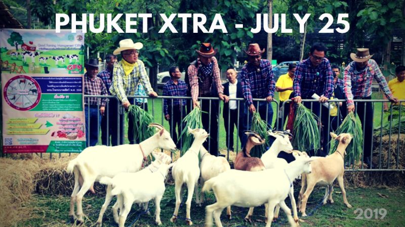 PHUKET XTRA: VIDEO: Cannabis oil in August? Goat Festival 2019! Microsoft bribery in Thailand? || July 25