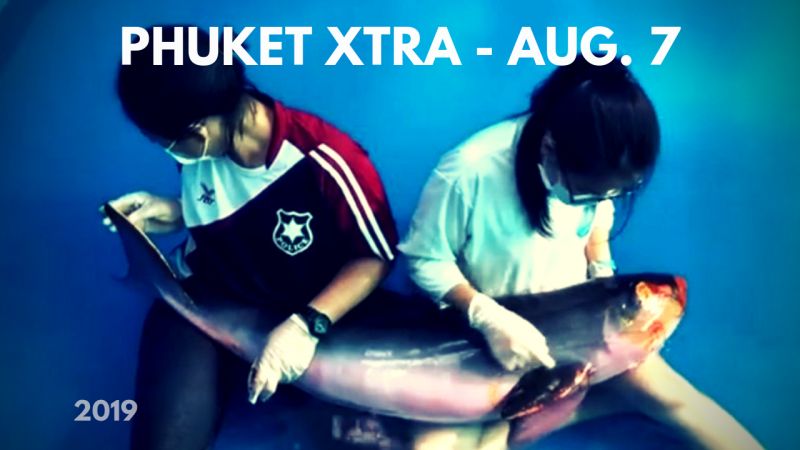 PHUKET XTRA: VIDEO: Dwarf sperm whale rescue! Ridding Thai landmines? Superyacht on fire! || August 7