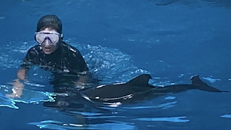 Newborn dwarf sperm whale ‘Hope’ recovering well at PMBC