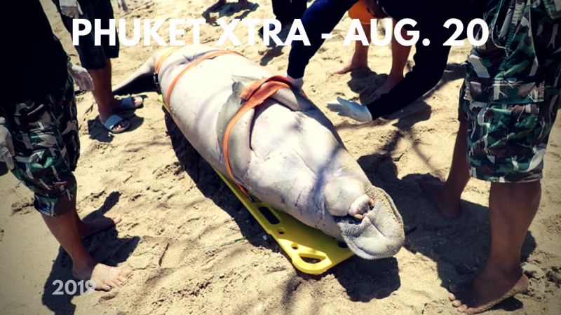PHUKET XTRA: VIDEO: Screws stolen, train derails! Patong Beach Rd. closures? Another dead dugong? || August 20