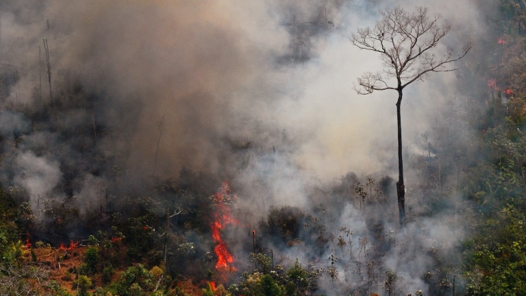 Brazil’s Bolsonaro authorises army to help fight Amazon fires
