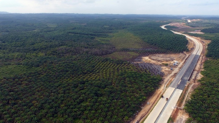 As Jakarta sinks, Indonesia picks Borneo for new capital