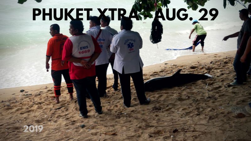PHUKET XTRA: VIDEO: Corpse still holding phone! Koh Tao death sentence upheld! Dolphin washes ashore? || August 29