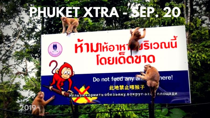 PHUKET XTRA: VIDEO: Wild monkeys rising! Climate strikers 'drop dead'? Interpol look for fugitive tourist! || September 20