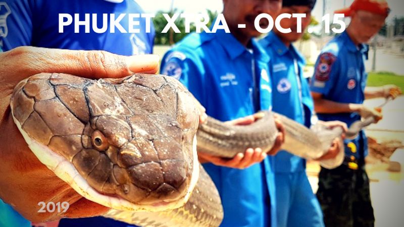 PHUKET XTRA: VIDEO: Dead body mix-up? 4-metre King Cobra! Rising BKK homelessness! || October 15