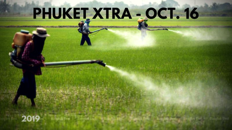 PHUKET XTRA: VIDEO: Triple pricing at hospitals! Farm chem ban support? Floating dead crocodile? || October 16