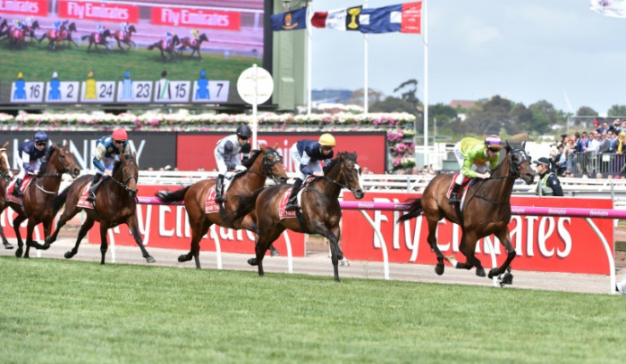 Melbourne Cup tickets to help fund retired horse welfare