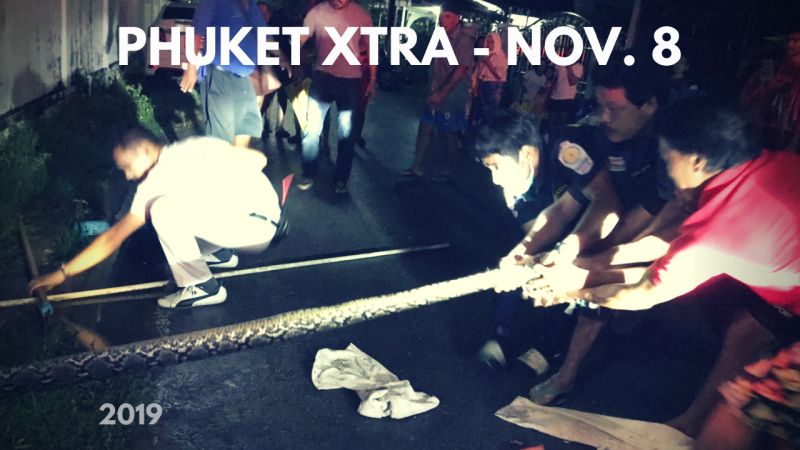 PHUKET XTRA: VIDEO: Locals yank stubborn python! Elder expat survives robbery! Escapees in ICU? || November 8