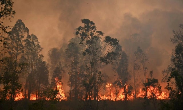 Rally Australia cancelled because of raging bushfires