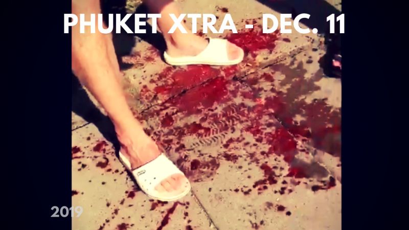 PHUKET XTRA: VIDEO: Monkey bites tourist! Concerns over school merger? Killed over limes? || December 11