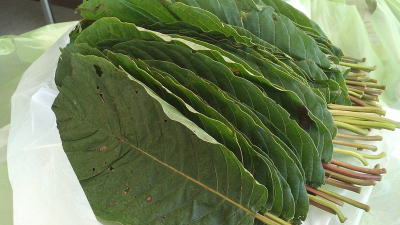 Justice Minister vows to hurry kratom legalisation