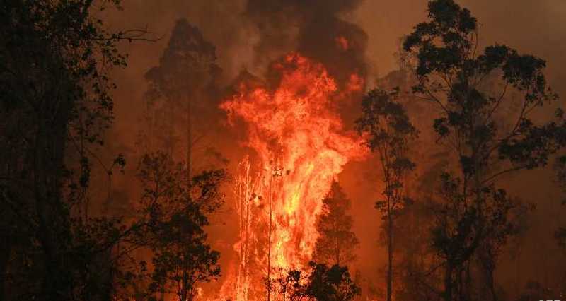 State of emergency as bushfires rage in Australia