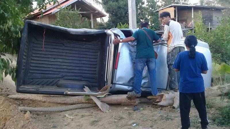 New Year death toll at five-year low, down nearly 20%