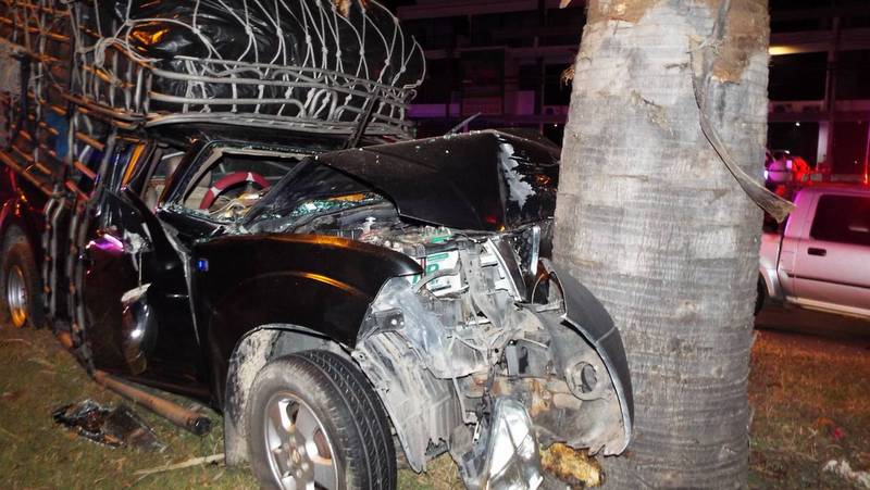Family of three escapes injury as papaya pickup hits tree