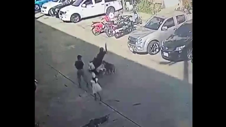 Beauty salon owner fights for rights after leg broken by playful dog