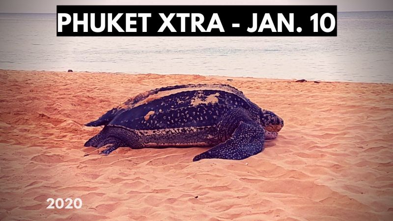 PHUKET XTRA: VIDEO: Kid killed in gold shop robbery! Arcade game is gambling? Turtles lays eggs! || January 10