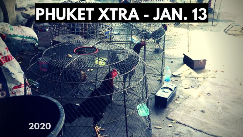PHUKET XTRA: VIDEO: Murderous taxi drivers? Cockfight sees 60 arrested! Rival rallies sees thousands! || January 13