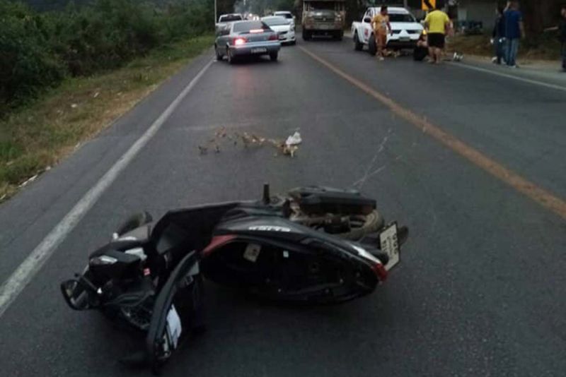 Neck-high cable sweeps sight-seeing tourists off motorcycle