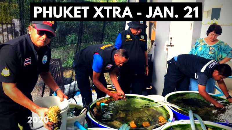 PHUKET XTRA: VIDEO: Illuminati case verdict? Coral catchers caught! Smoggy Bangkok? || January 21