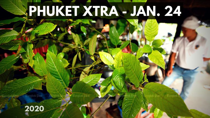PHUKET XTRA: VIDEO: BKK marathon vs air pollution! Legalising kratom? Caught after 30 years! || January 24