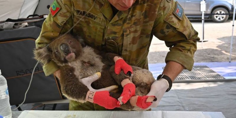 Phuket charity golf event confirmed to aid victims of the Australian bushfire disaster