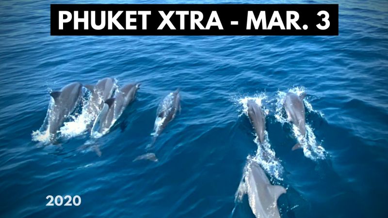 PHUKET XTRA: VIDEO: Warning over baby elephant? Overstayer banned 10 years! Coronavirus update! || March 3