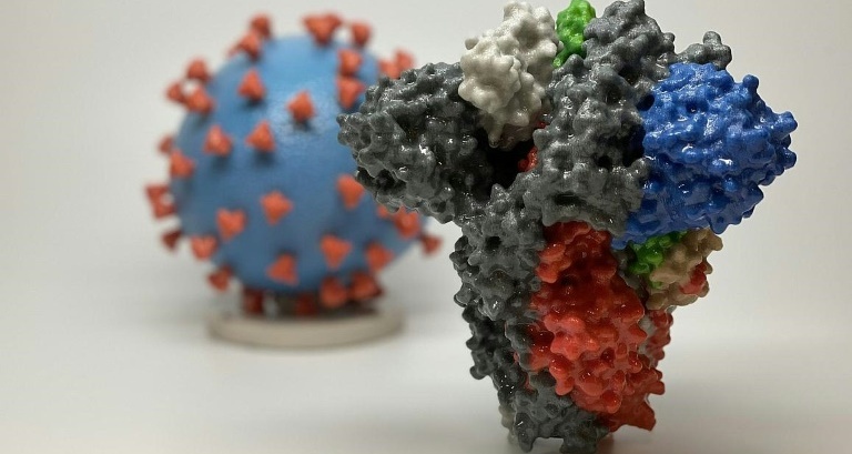 US begins first human trial of coronavirus vaccine