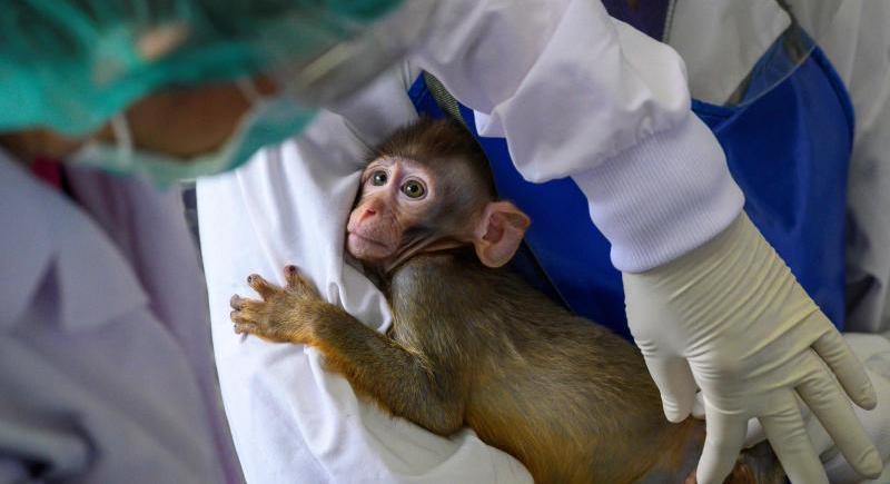 Thailand reports two more COVID cases, one death
