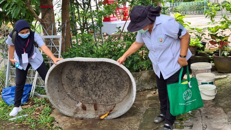 As annual rains arrive, Phuket health chief issues dengue warning